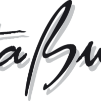 stabus_logo