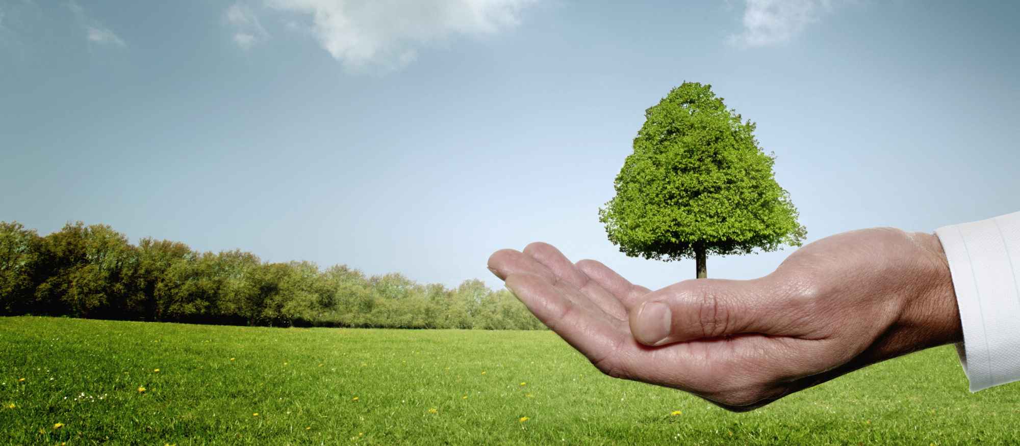 ENVIRONNEMENT bandeau